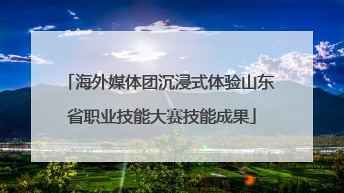 海外媒体团沉浸式体验山东省职业技能大赛技能成果