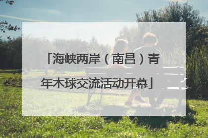 海峡两岸（南昌）青年木球交流活动开幕