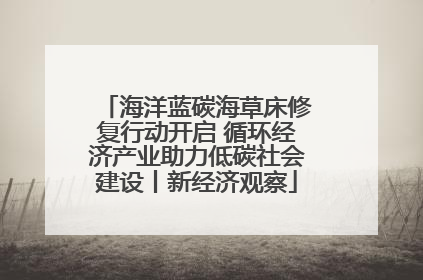 海洋蓝碳海草床修复行动开启 循环经济产业助力低碳社会建设丨新经济观察