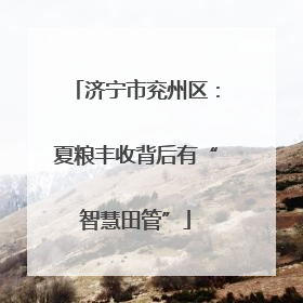 济宁市兖州区：夏粮丰收背后有“智慧田管”