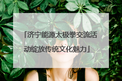 济宁能源太极拳交流活动绽放传统文化魅力