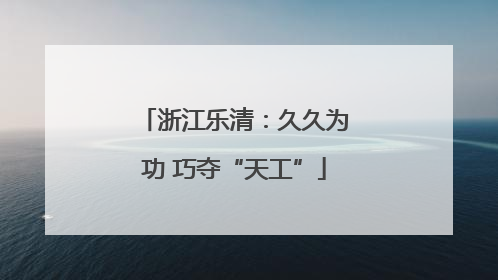 浙江乐清：久久为功 巧夺“天工”