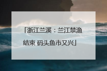 浙江兰溪：兰江禁渔结束 码头鱼市又兴