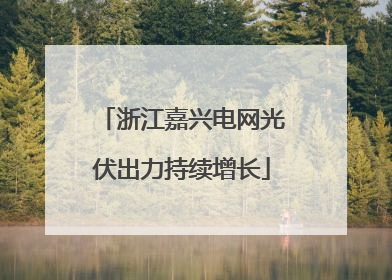 浙江嘉兴电网光伏出力持续增长