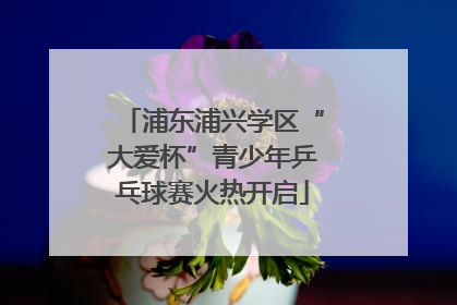 浦东浦兴学区“大爱杯”青少年乒乓球赛火热开启