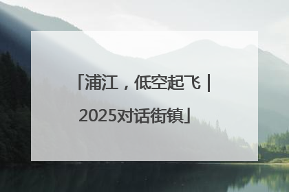 浦江，低空起飞｜2025对话街镇