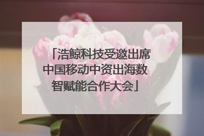 浩鲸科技受邀出席中国移动中资出海数智赋能合作大会