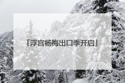 浮宫杨梅出口季开启