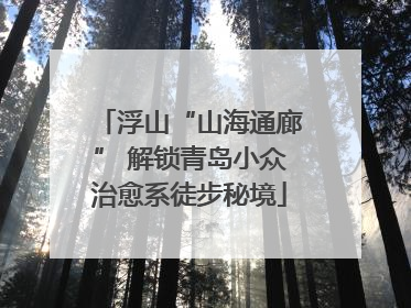 浮山“山海通廊” 解锁青岛小众治愈系徒步秘境