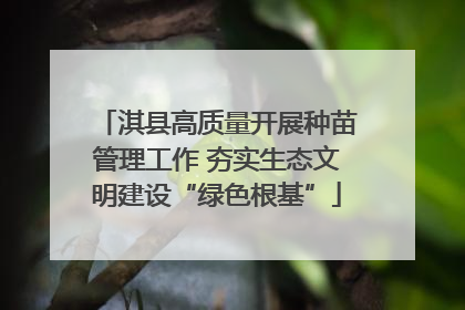 淇县高质量开展种苗管理工作 夯实生态文明建设“绿色根基”