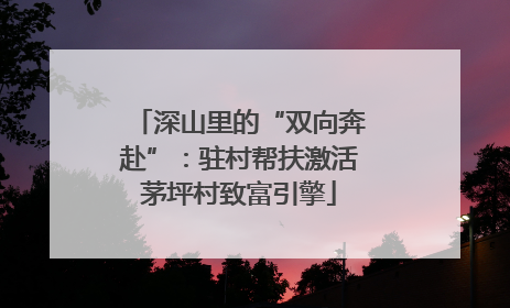 深山里的“双向奔赴”：驻村帮扶激活茅坪村致富引擎