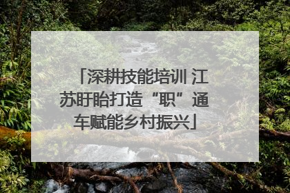 深耕技能培训 江苏盱眙打造“职”通车赋能乡村振兴