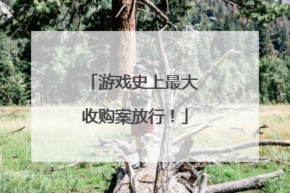 游戏史上最大收购案放行！