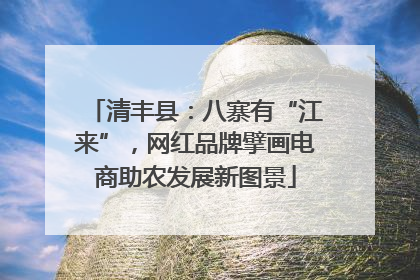 清丰县：八寨有“江来”，网红品牌擘画电商助农发展新图景