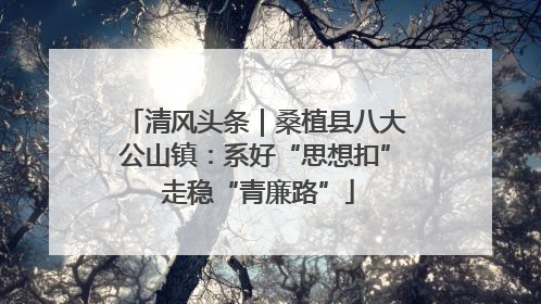 清风头条｜桑植县八大公山镇：系好“思想扣” 走稳“青廉路”