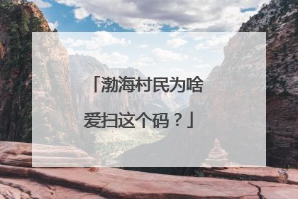 渤海村民为啥爱扫这个码？