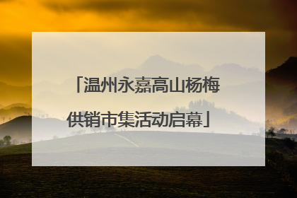 温州永嘉高山杨梅供销市集活动启幕