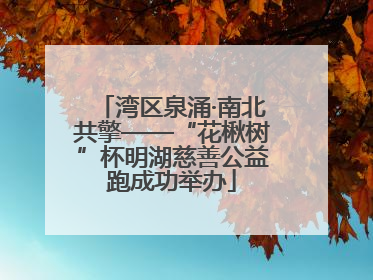 湾区泉涌·南北共擎——“花楸树”杯明湖慈善公益跑成功举办