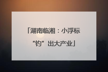 湖南临湘：小浮标“钓”出大产业