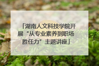 湖南人文科技学院开展“从专业素养到职场胜任力”主题讲座