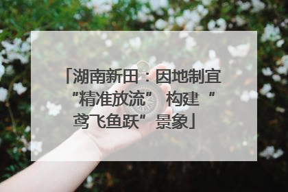 湖南新田：因地制宜“精准放流” 构建“鸢飞鱼跃”景象