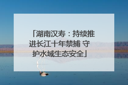 湖南汉寿：持续推进长江十年禁捕 守护水域生态安全