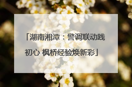 湖南湘潭：警调联动践初心 枫桥经验焕新彩