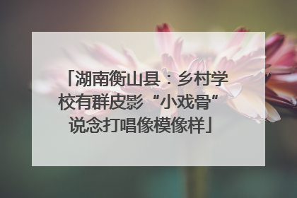 湖南衡山县：乡村学校有群皮影“小戏骨” 说念打唱像模像样