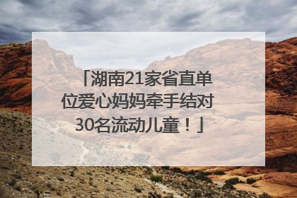 湖南21家省直单位爱心妈妈牵手结对30名流动儿童！