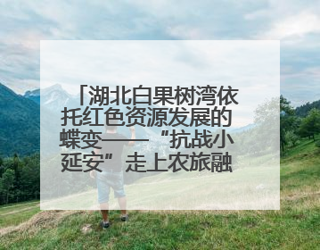 湖北白果树湾依托红色资源发展的蝶变——“抗战小延安”走上农旅融合振兴路