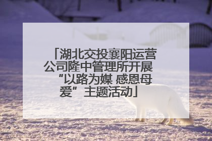 湖北交投襄阳运营公司隆中管理所开展“以路为媒 感恩母爱”主题活动