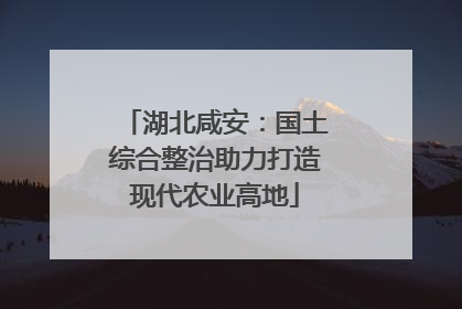 湖北咸安：国土综合整治助力打造现代农业高地