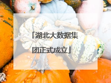 湖北大数据集团正式成立