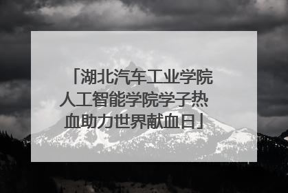 湖北汽车工业学院人工智能学院学子热血助力世界献血日