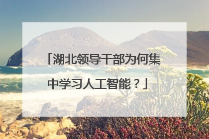 湖北领导干部为何集中学习人工智能？