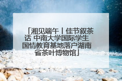 湘见端午丨佳节叙茶话 中南大学国际学生国情教育基地落户湖南省茶叶博物馆