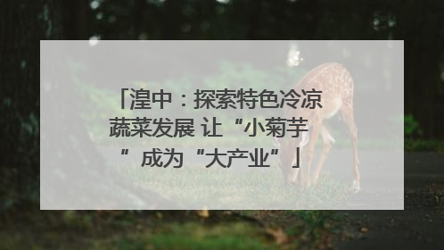 湟中：探索特色冷凉蔬菜发展 让“小菊芋”成为“大产业”