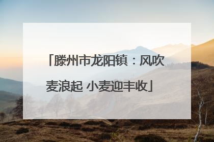 滕州市龙阳镇：风吹麦浪起 小麦迎丰收