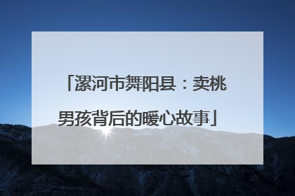 漯河市舞阳县：卖桃男孩背后的暖心故事