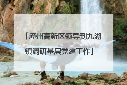漳州高新区领导到九湖镇调研基层党建工作