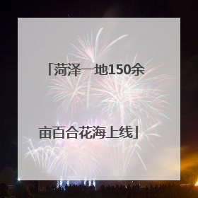 菏泽一地150余亩百合花海上线