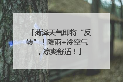 菏泽天气即将“反转”！降雨+冷空气，凉爽舒适！
