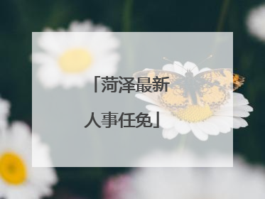 菏泽最新人事任免