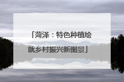菏泽：特色种植绘就乡村振兴新图景