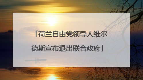 荷兰自由党领导人维尔德斯宣布退出联合政府
