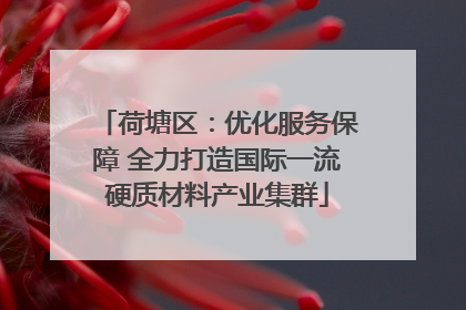 荷塘区：优化服务保障 全力打造国际一流硬质材料产业集群