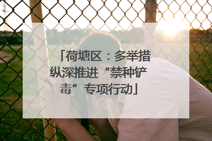 荷塘区：多举措纵深推进“禁种铲毒”专项行动