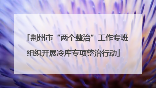 荆州市“两个整治”工作专班组织开展冷库专项整治行动