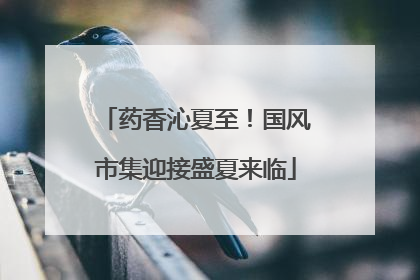 药香沁夏至！国风市集迎接盛夏来临