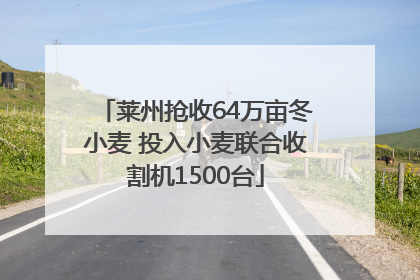 莱州抢收64万亩冬小麦 投入小麦联合收割机1500台
